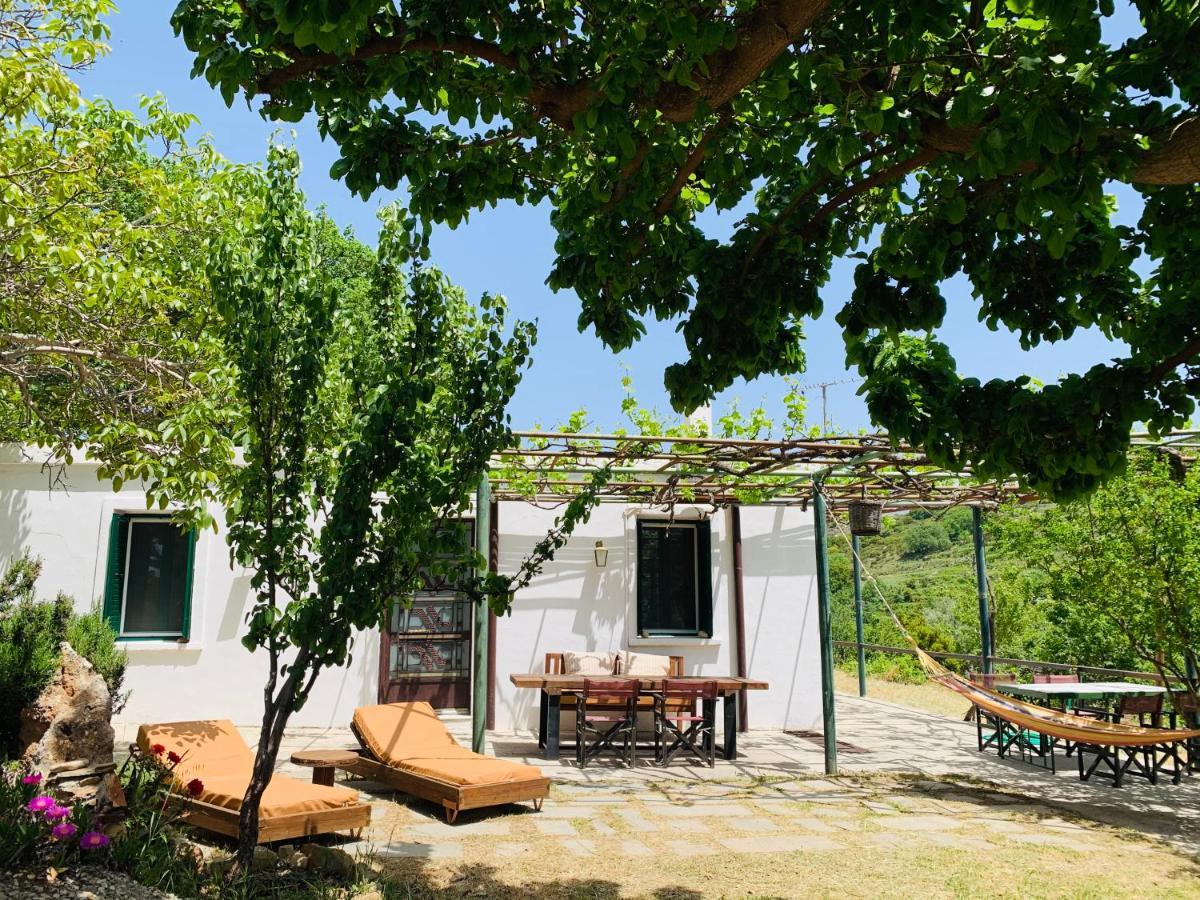 Temenia House Villa Exterior photo