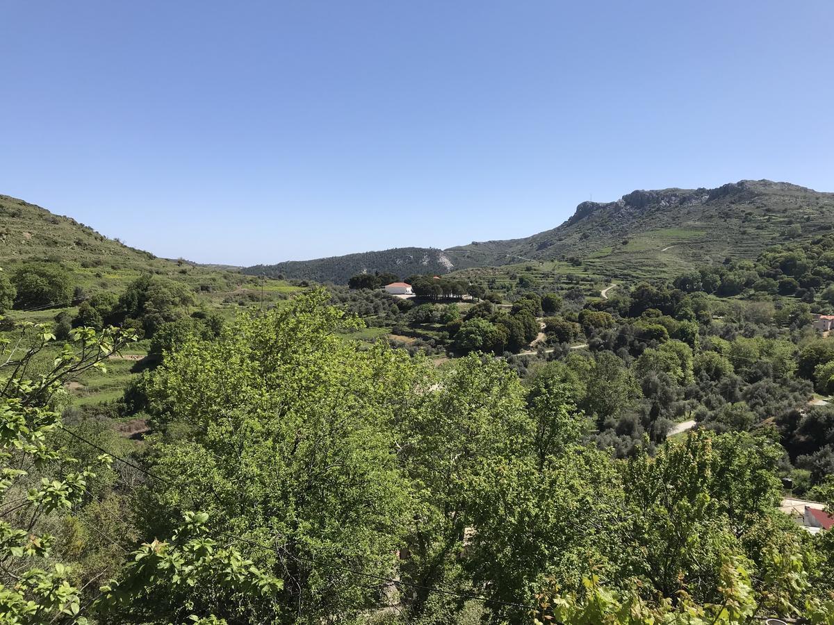 Temenia House Villa Exterior photo